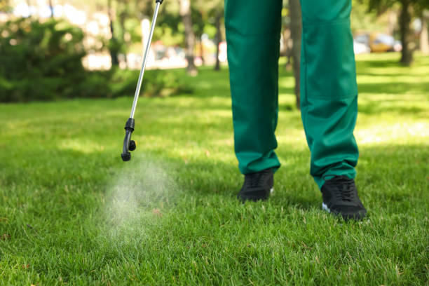 Best Wildlife Control Services  in Balm, FL