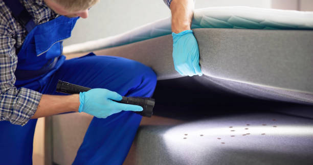 Best Best Pest Control Companies  in Balm, FL