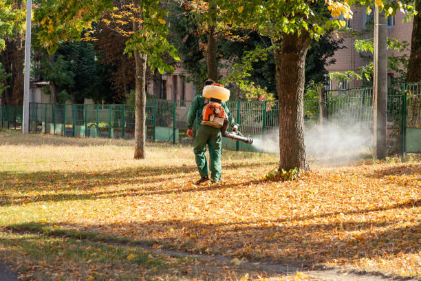 Best Commercial Pest Control Services  in Balm, FL